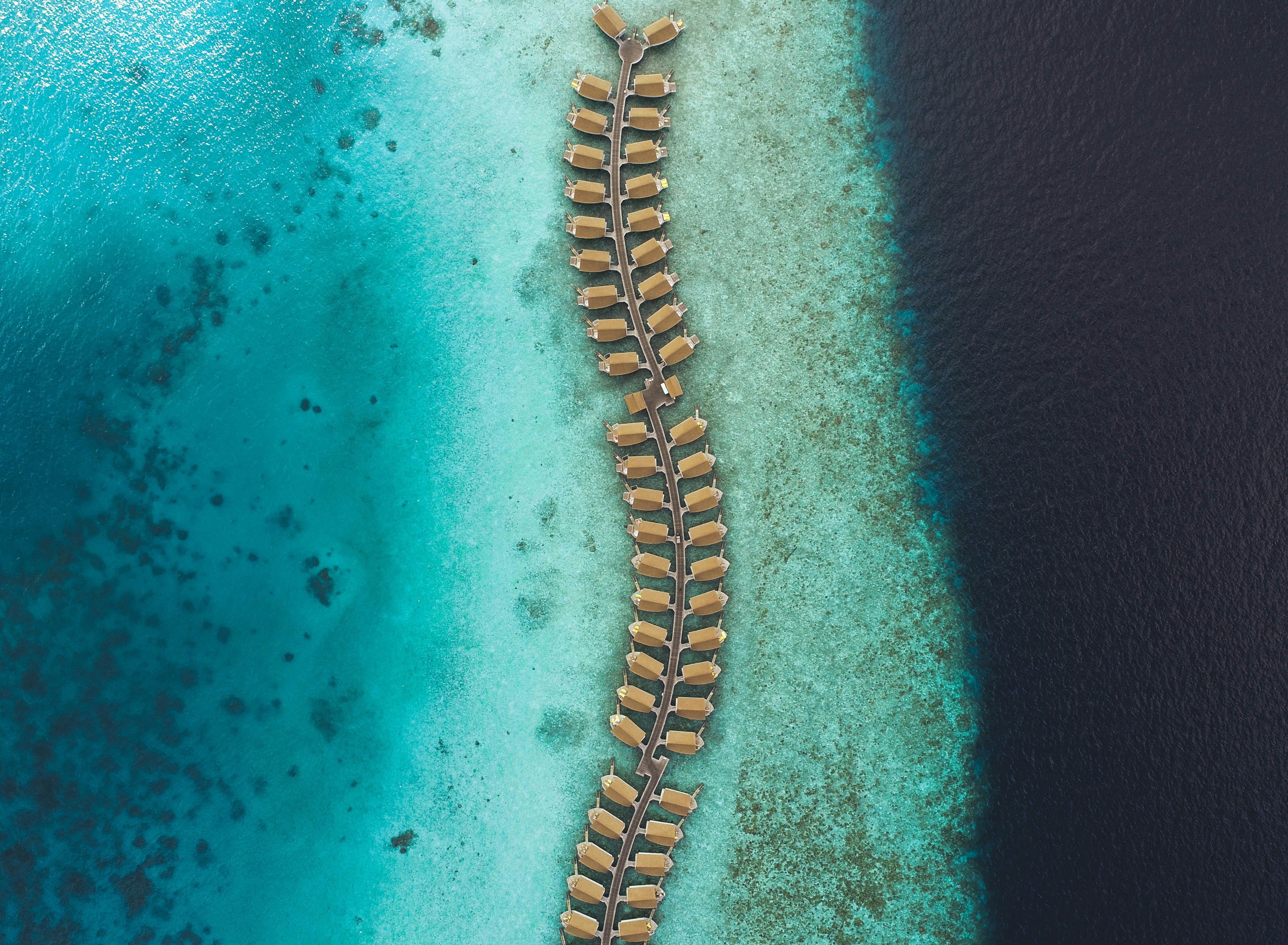 aerial photography of body of water